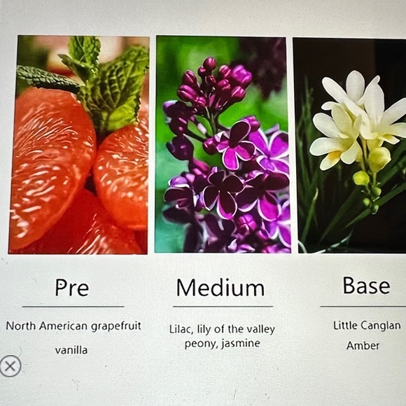 Anna Molinari Fragrance Spray Mist Set - Multicolor. Nice gift box set. - Picture 6 of 6